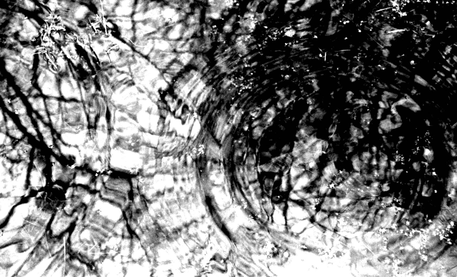 Photograph — abstract 15