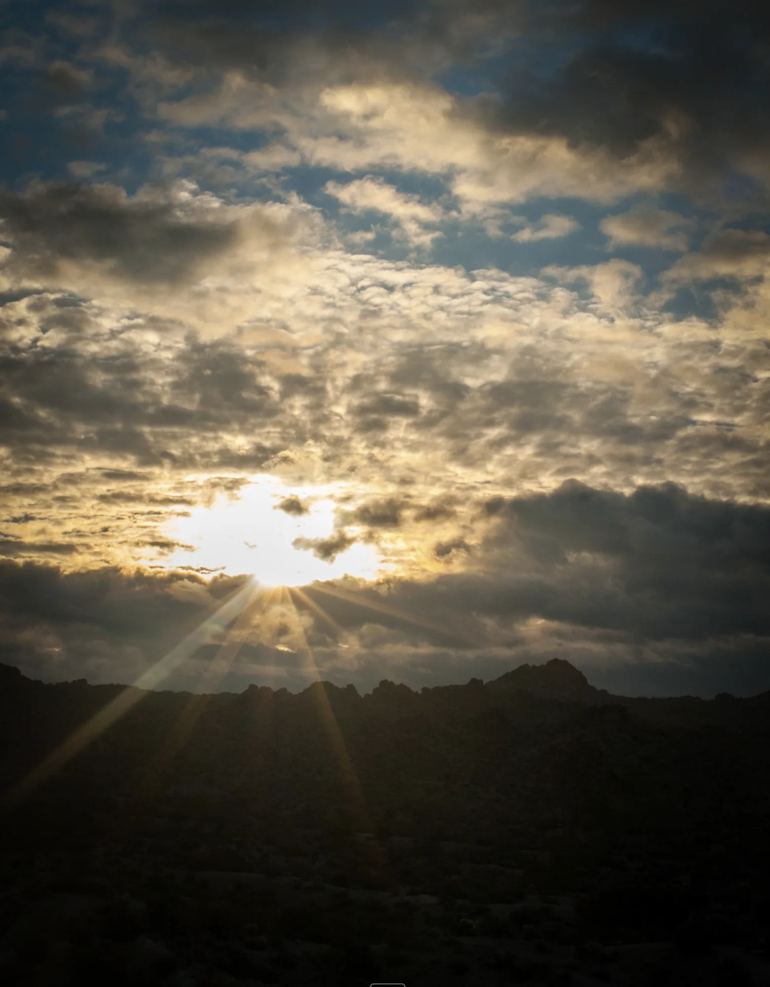 Photograph — nature 2