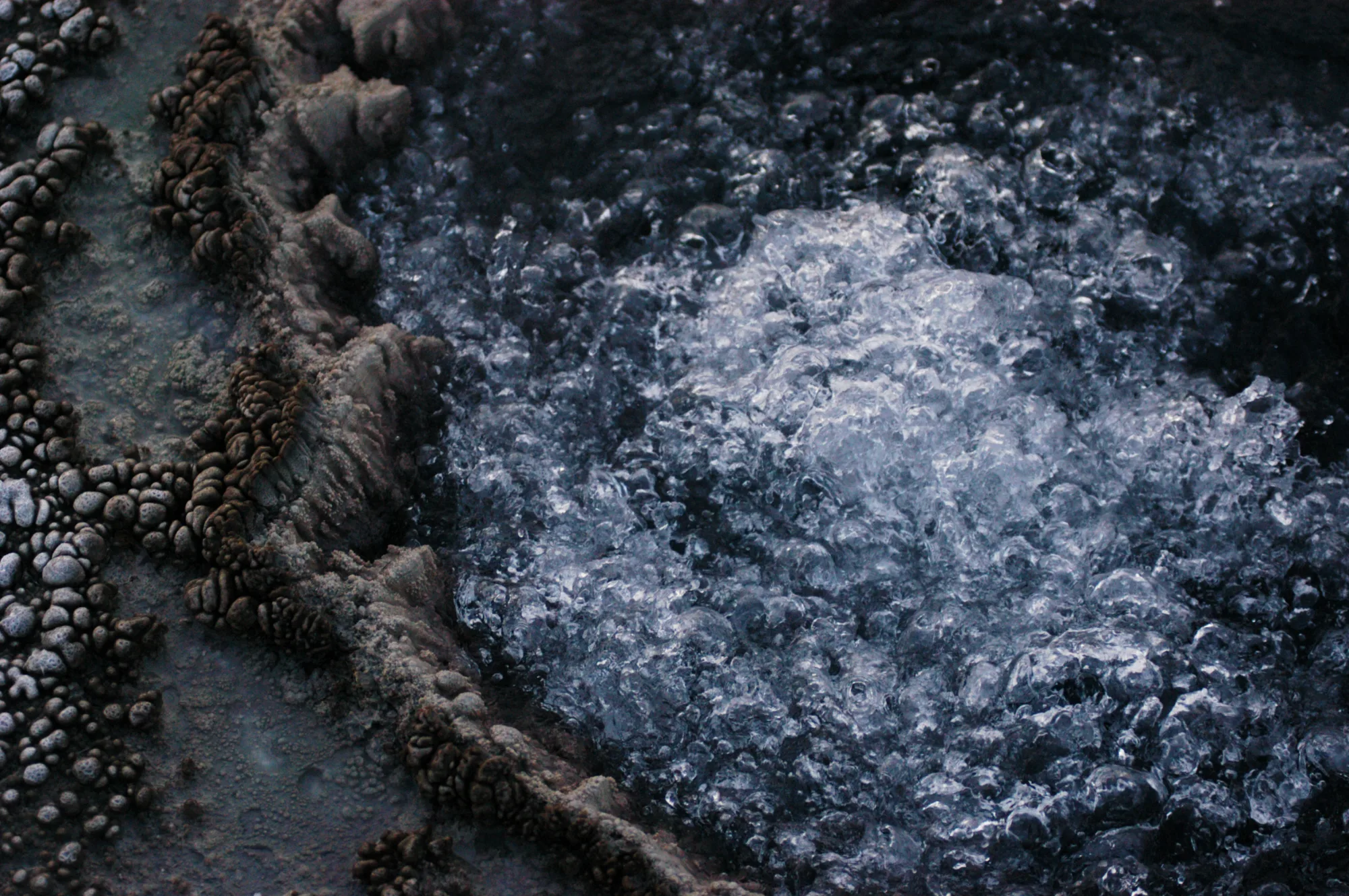 Photograph — nature 7