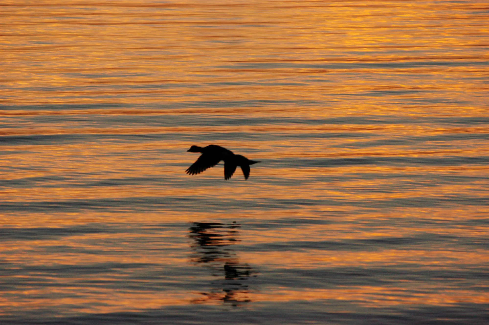 Photograph — nature 9